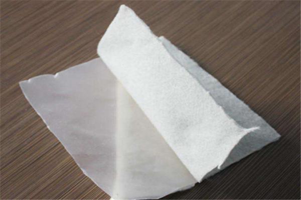復合土工膜可以用在哪些復雜環境中  第1張